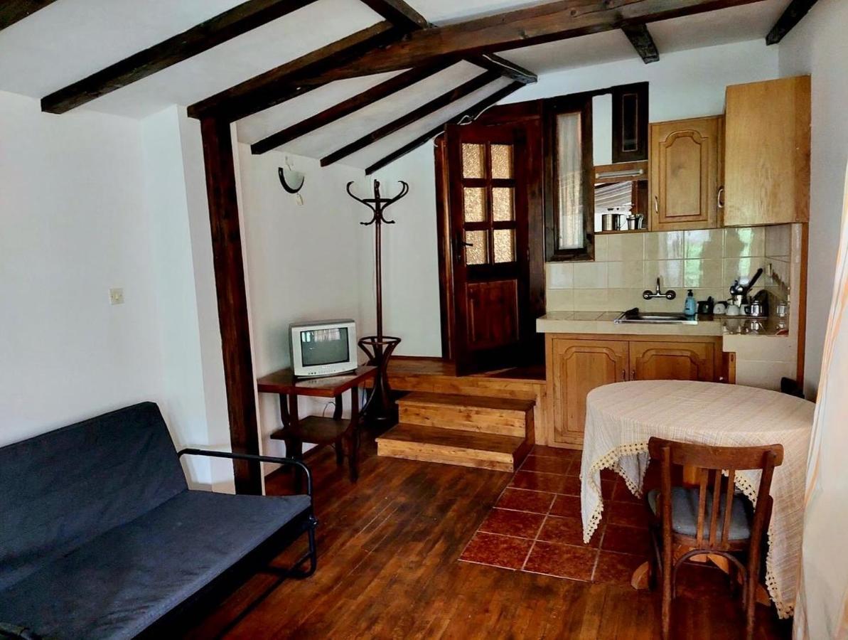 Luylyana Guesthouse Ribarica Bagian luar foto