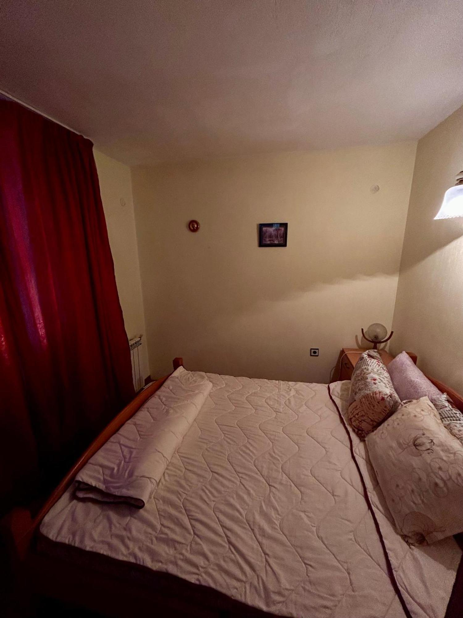 Luylyana Guesthouse Ribarica Bagian luar foto
