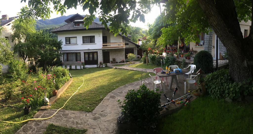 Luylyana Guesthouse Ribarica Bagian luar foto