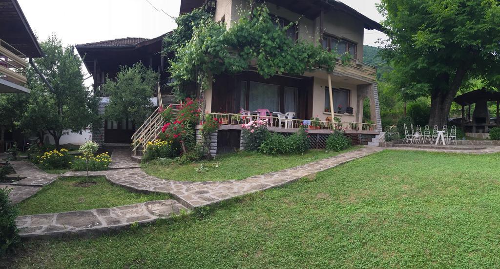 Luylyana Guesthouse Ribarica Bagian luar foto