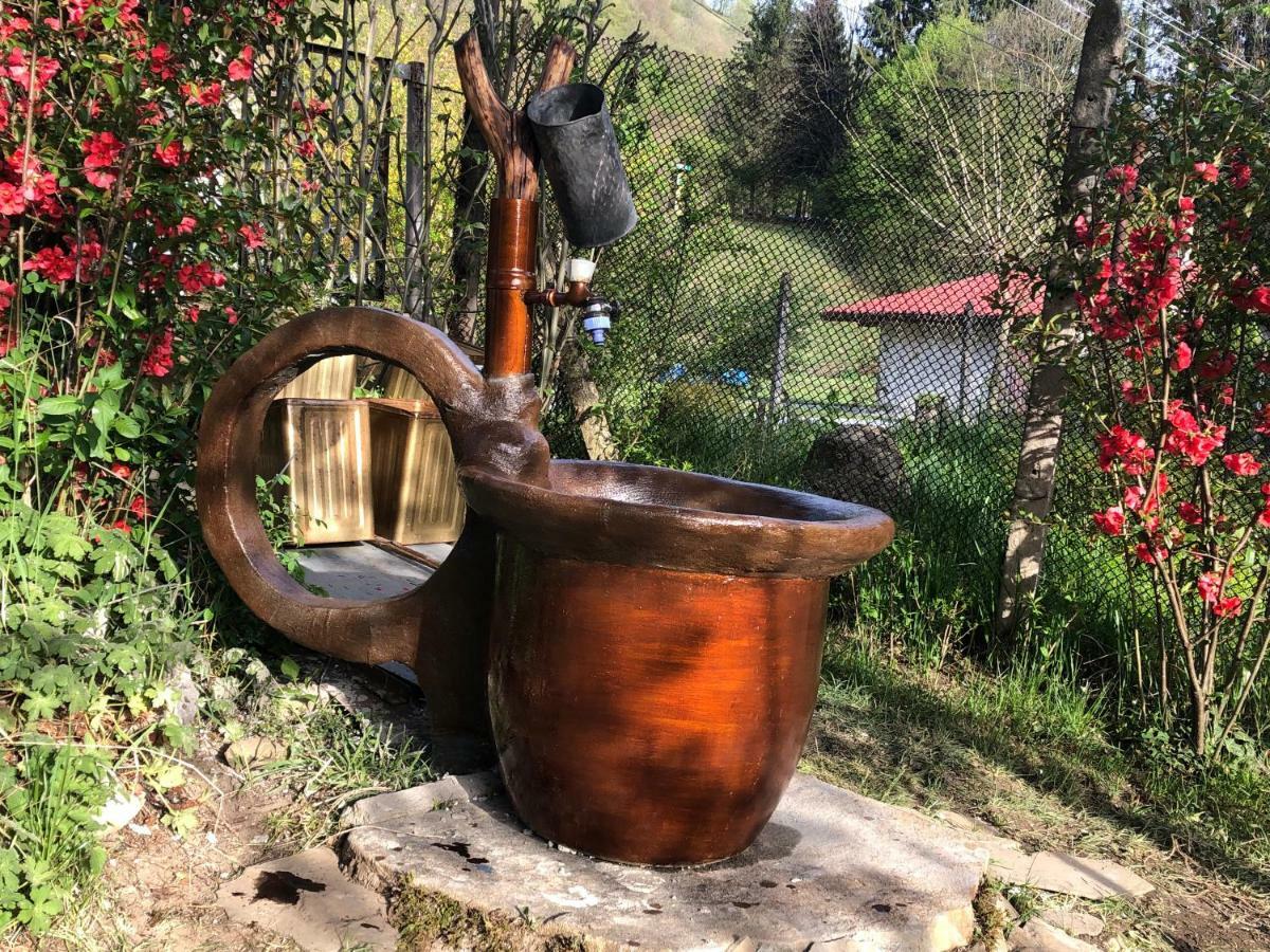 Luylyana Guesthouse Ribarica Bagian luar foto