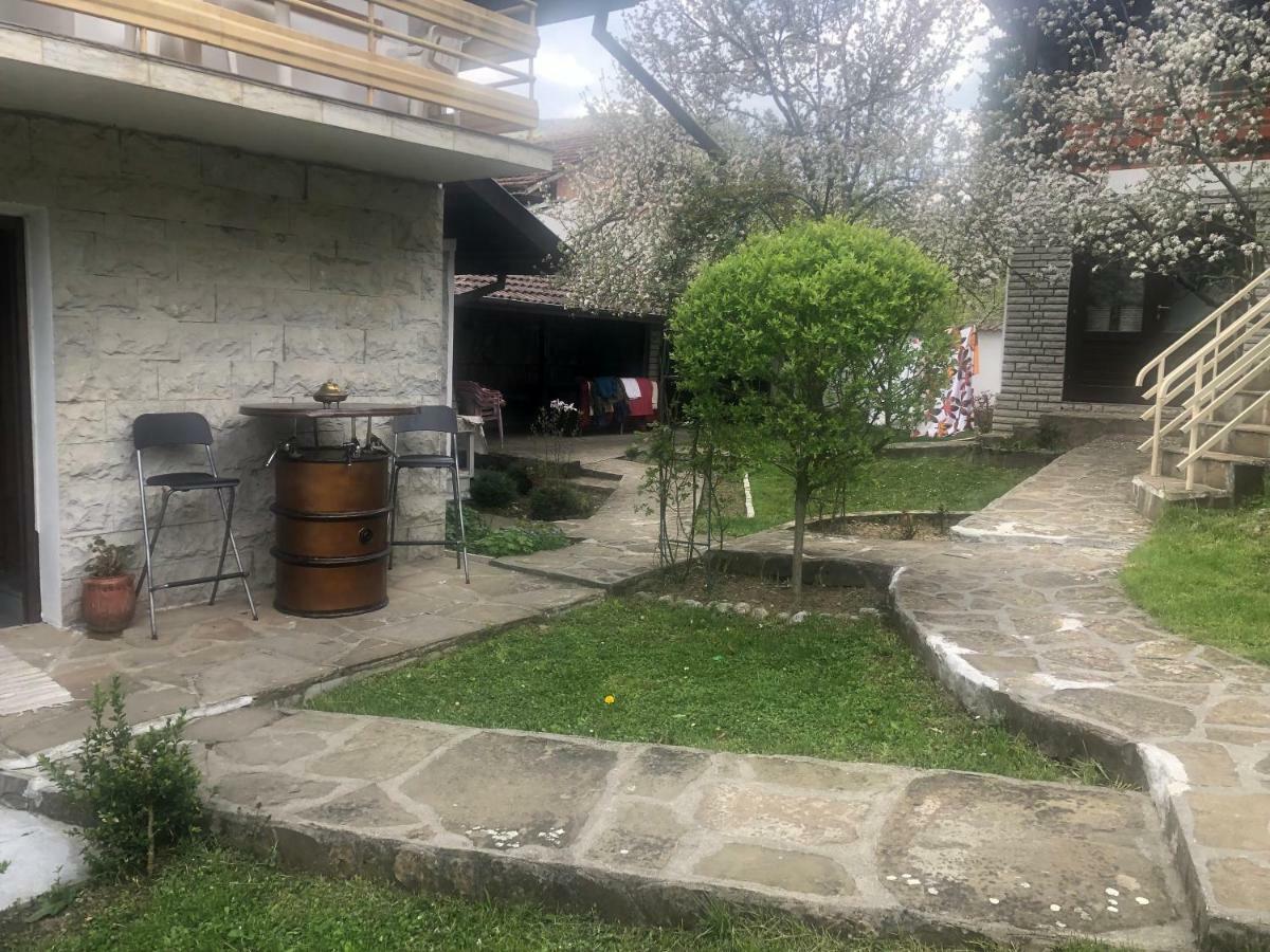Luylyana Guesthouse Ribarica Bagian luar foto