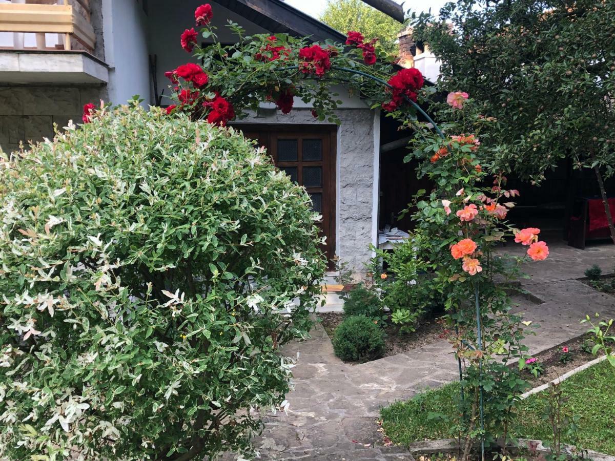 Luylyana Guesthouse Ribarica Bagian luar foto