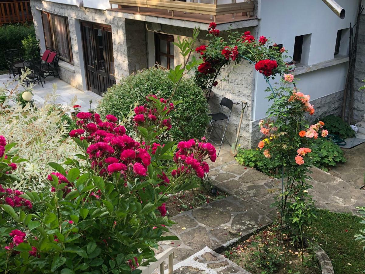 Luylyana Guesthouse Ribarica Bagian luar foto