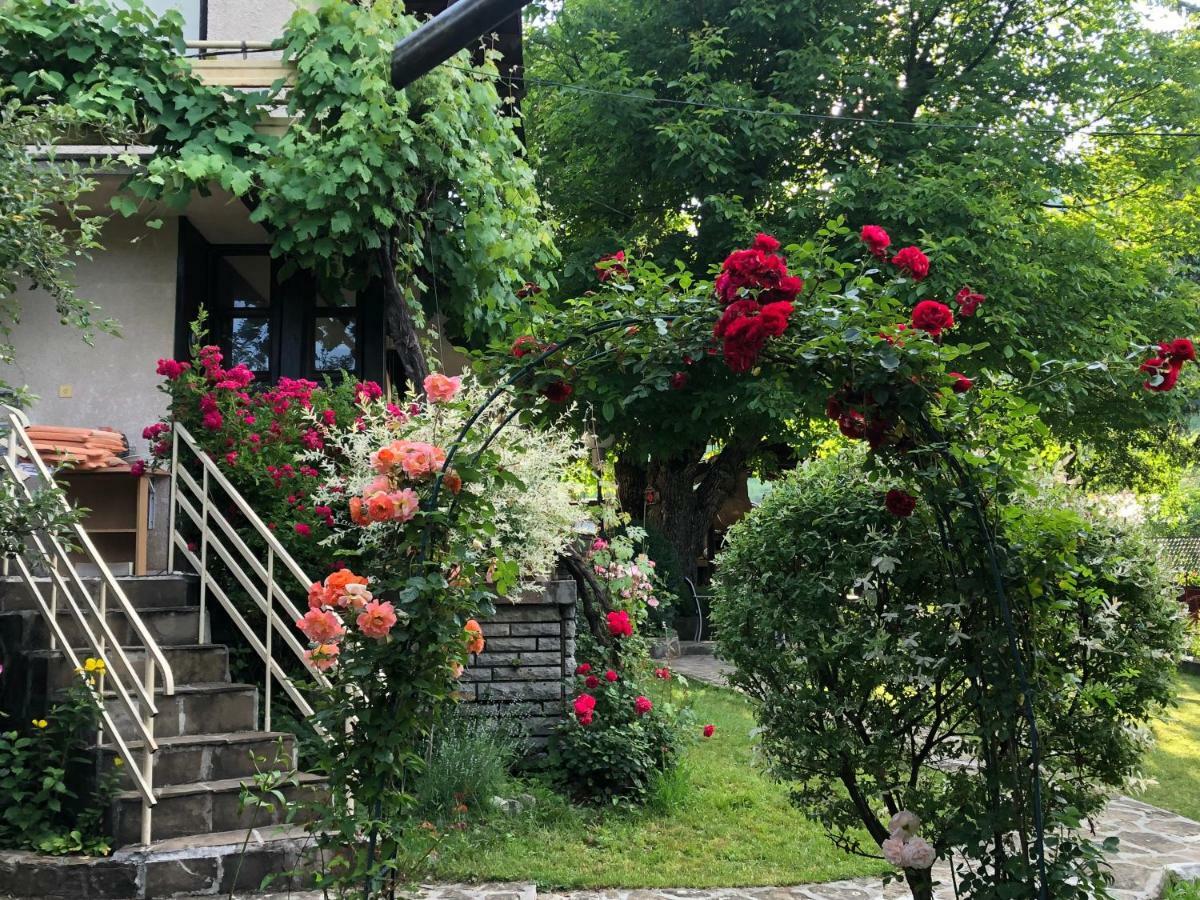 Luylyana Guesthouse Ribarica Bagian luar foto